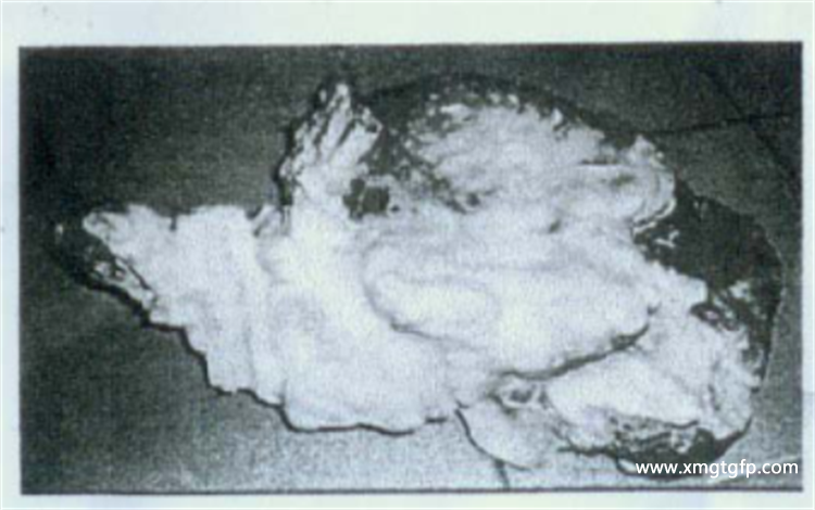 泰国 龙宫舍利 泰国 龙宫舍利 4.png