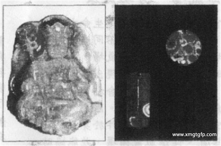泰国 龙宫舍利 泰国 龙宫舍利 9.png