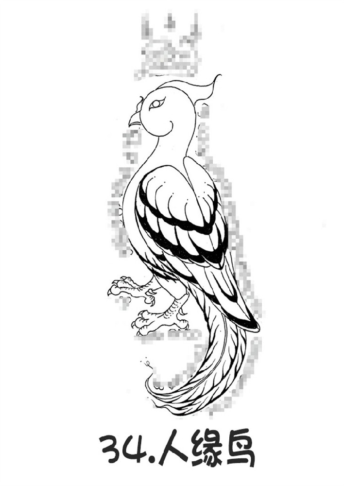 34.人缘鸟-调正.jpg